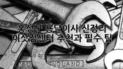 홍성군 용달이사, 신정리 이삿짐센터 추천과 필수 팁!