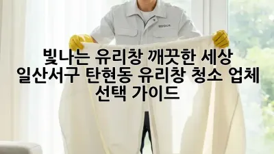 빛나는 유리창, 깨끗한 세상: 일산서구 탄현동 유리창 청소 업체 선택 가이드