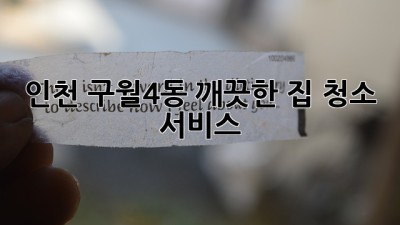 인천 구월4동 깨끗한 집 청소 서비스